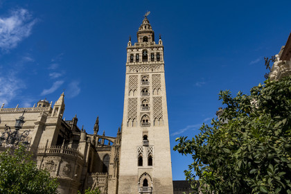 Espagne, Andalousie, Séville, quartier de Santa Cruz, la Giralda, ancien minaret almohade de la Grande Mosquée reconverti en clocher de la cathédrale, classé Patrimoine Mondial de l'UNESCO
