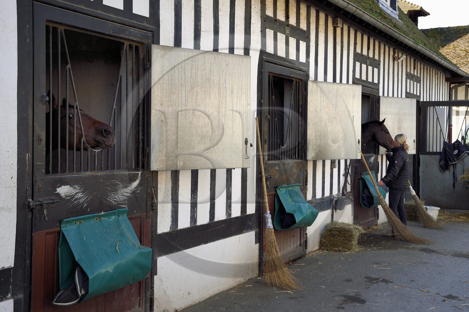 France, Calvados, Pays d'Auge, Deauville, Racecourse of Deauville-La Touques, the stables