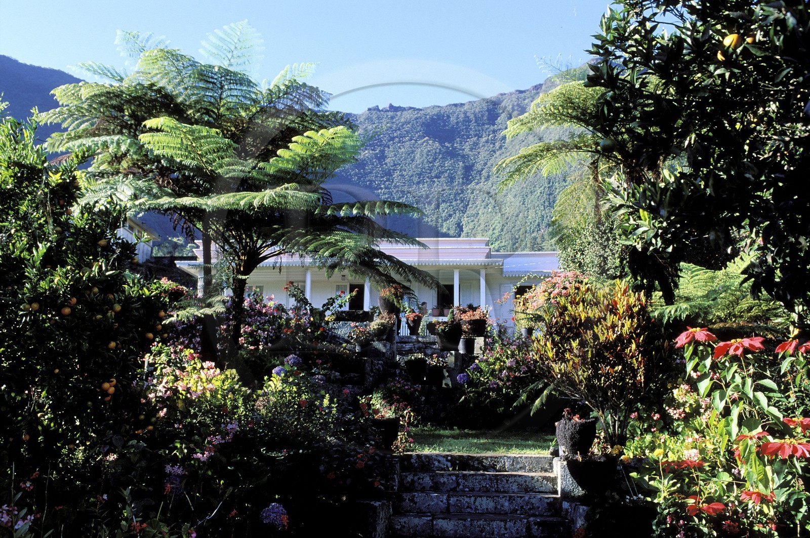 France, Reunion island (French overseas department), cirque de Salazie, listed as World Heritage by UNESCO, Hell Bourg village, labelled Les Plus Beaux Villages de France (The Most Beautiful Villages of France), the typical Creole house Folio and its garden