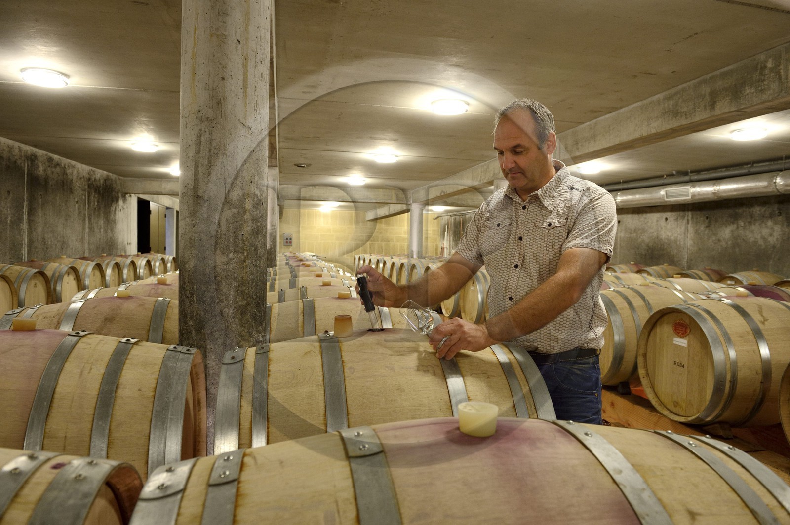 France, Loire (42), Chavanay, le domaine Christophe Pichon à Verlieu - Le-Grand-Val, Christophe Pichon dans sa cave