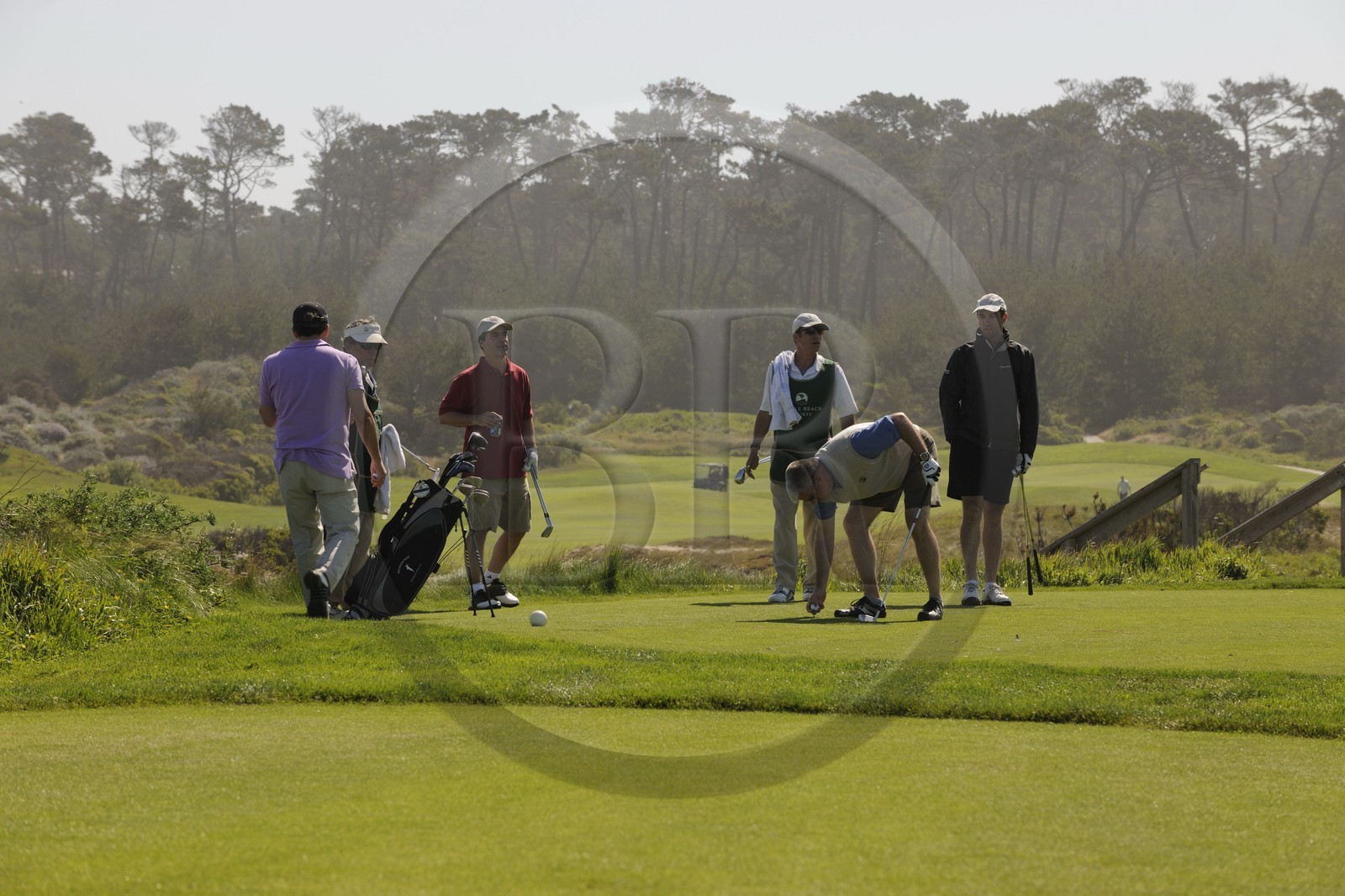 Etats-Unis, Californie, 17 mile drive, golf à Spanish Bay