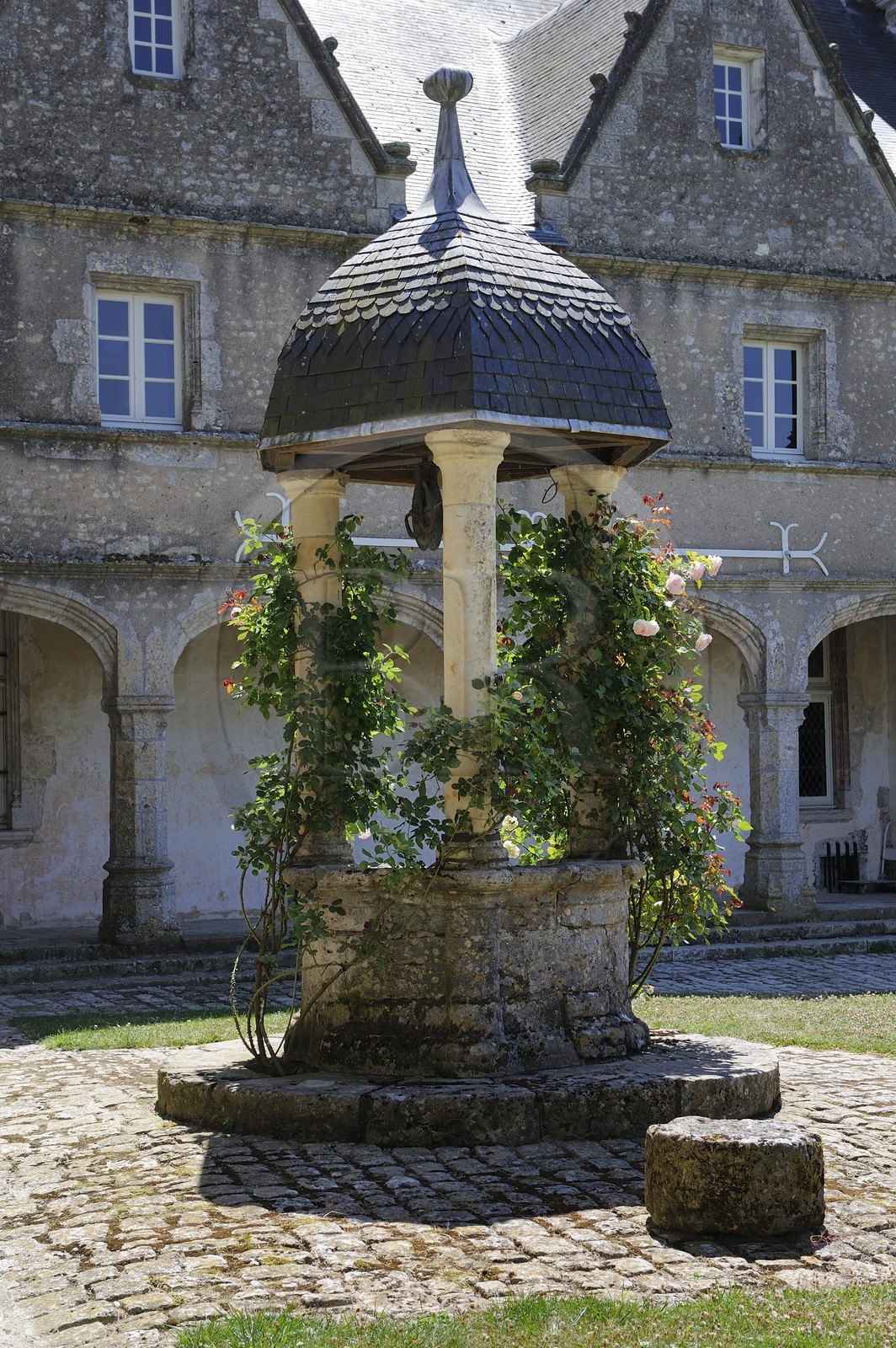 France, Loir et Cher, Chateau de Talcy, well with roses that might have inspired the poet Ronsard