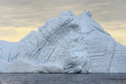 Groenland, cote Nord-Ouest, mer de Baffin, iceberg dans Inglefield Fjord vers Qaanaaq