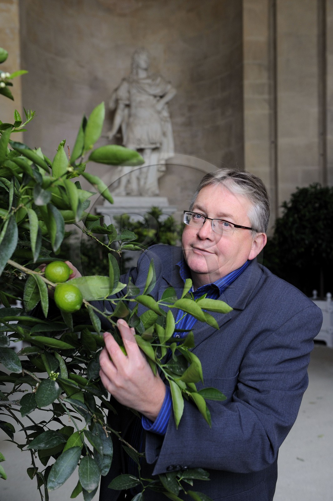 France, Yvelines, Chateau de Versailles, listed as World Heritage by UNESCO, Orangery by Jules Hardouin Mansart in Winter, Joel Cottin gardener in chief of the Petit Parc