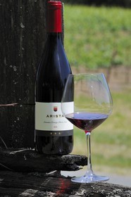 United States, California, Sonoma County, the vineyard of the Arista Property, red wine bottle of Pinot Noir