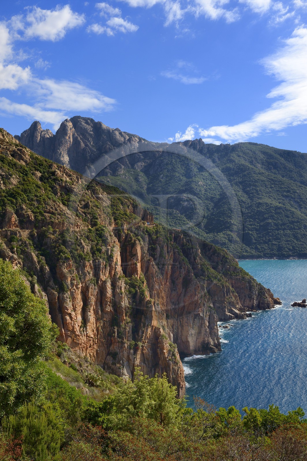 France, Corse-du-Sud (2A), Golfe de Porto, classé Patrimoine Mondial de l'UNESCO, le mont du Capo d'Orto en arrière plan