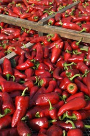France, Pyrénées-Atlantiques (64), Pays-Basque, Espelette, dans le séchoir à piments de Virginie Curutchet, productrice de piments d'Espelette AOP
