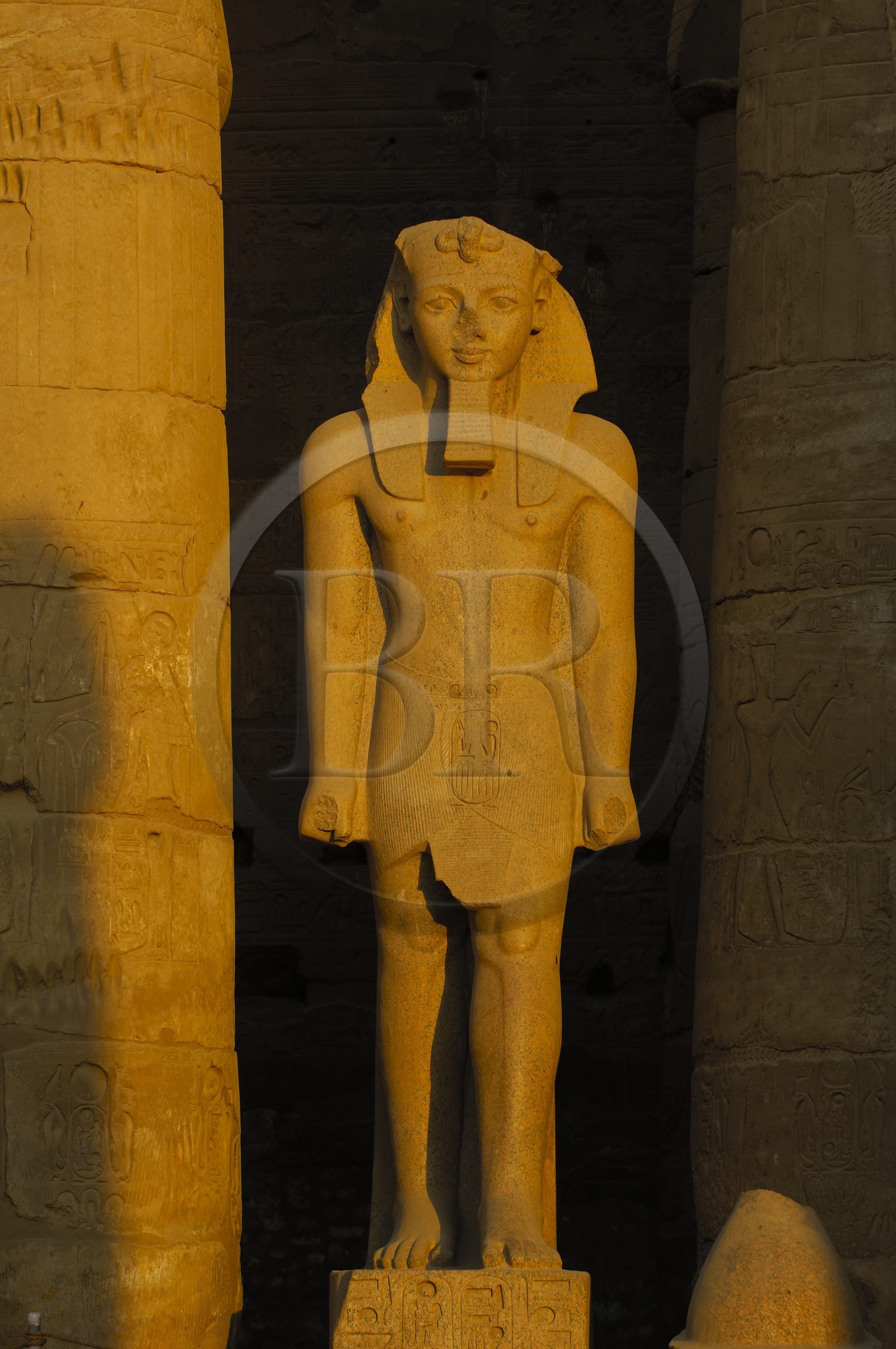 Egypte, Haute Egypte, vallée du Nil, temple de Louxor classé Patrimoine Mondial de l'UNESCO, cour de Ramses II