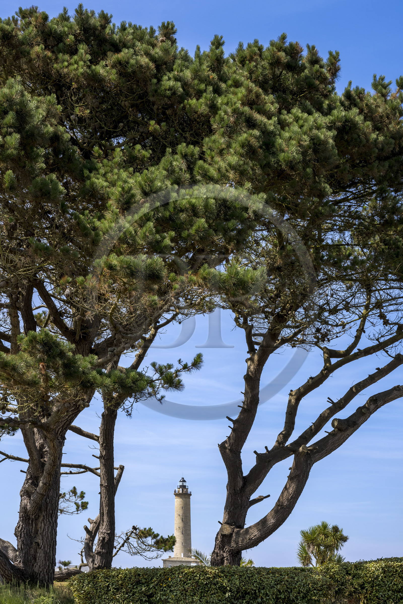 France, Finistère, Ponant Islands, Ile de Batz (Batz Island), the lighthouse commissioned in 1836