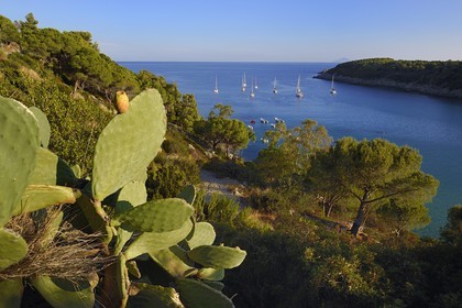 Italie, Toscane, l’Ile d’Elbe, voilier au mouillage dans la rade de Fetovaia sur la cote Sud