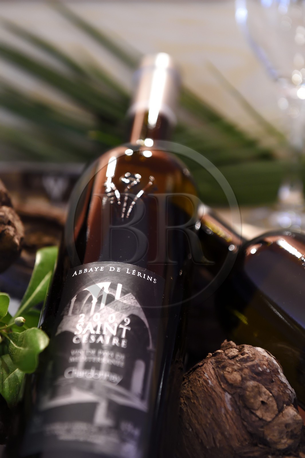 France, Alpes-Maritimes, Lerins Islands, Saint-Honorat island, wine produced by the Abbey of Lerins