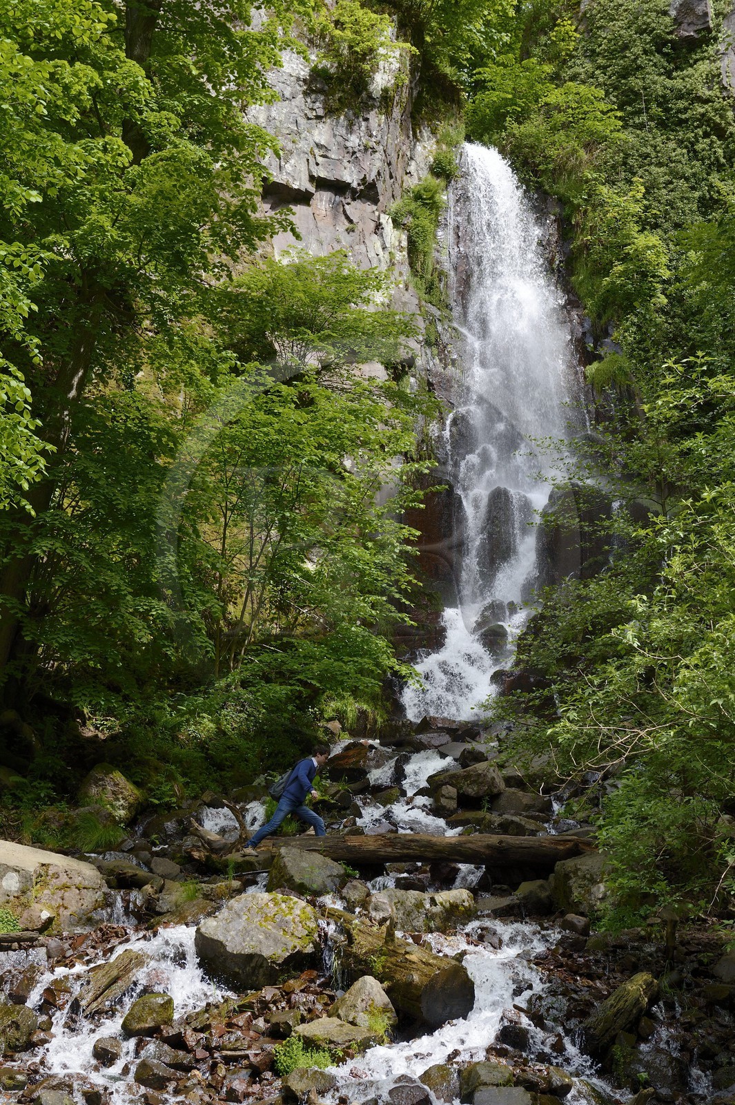 France, Bas-Rhin (67), entre Wangenbourg-Engenthal et Oberhaslach, la cascade du Nideck dans le massif des Vosges
