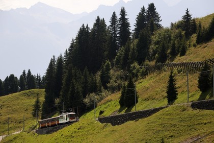 Suisse, canton de Vaud, Villars-sur-Ollon, train qui rejoint la gare de Bretaye