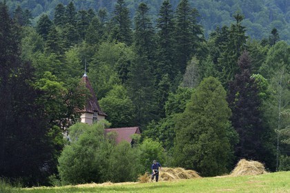 Roumanie, Valachie, Sinaia, parc du château de Peles ancienne résidence royale édifiée de 1875 à 1883 pour le roi Carol Ier de Roumanie