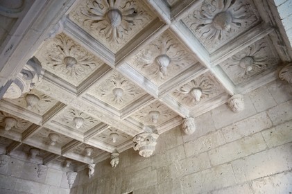 France, Dordogne, Périgord Vert, Villars, Puyguilhem castle, vestibule of the first floor coffered ceiling decorated with thistles flowers and salamanders