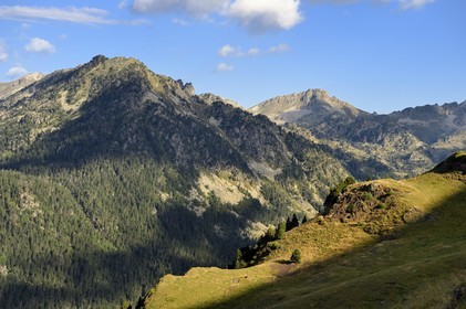France, Hautes Pyrenees, Saint Lary Soulan and Vielle-Aure, hike on a variant of the GR10 between the Portet pass and the Bastan lakes on the edge of the Neouvielle nature reserve