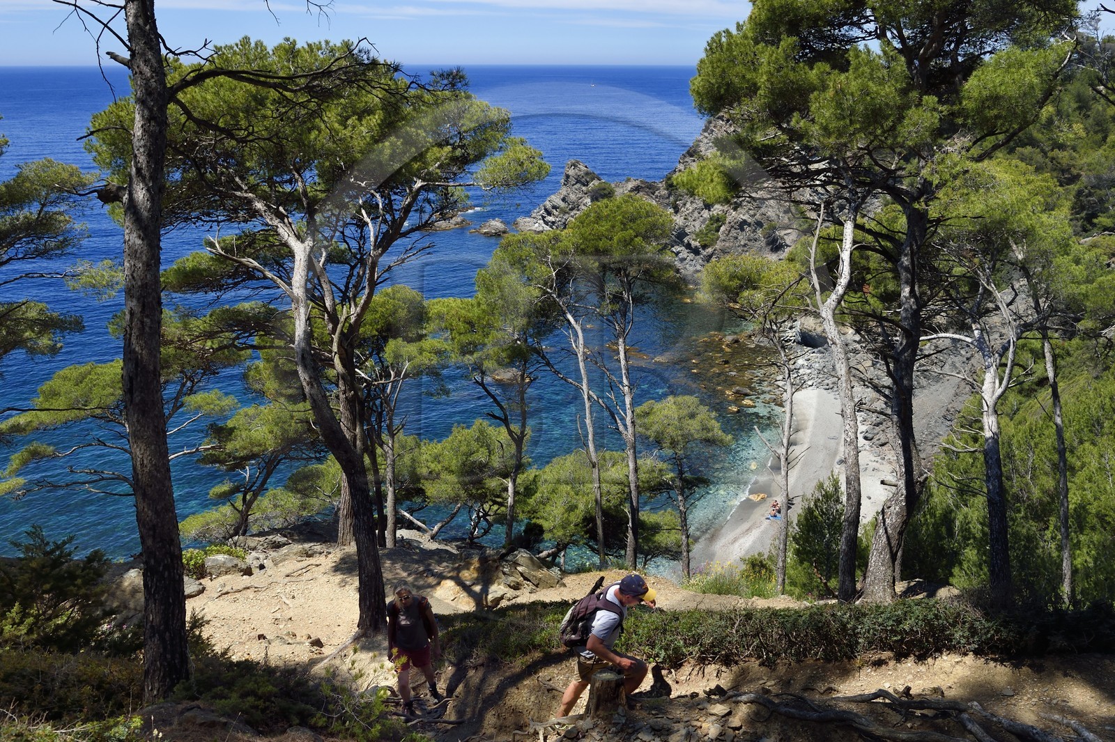 France, Var (83), Six-Fours-les-Plages, randonnée dans le massif du Cap Sicié, plage du Mont Salva vers Le Brusc