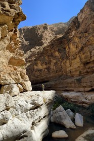 Sultanat d'Oman, région d'Ash Sharqiyah, Tiwi, randonneur dans le Wadi ash Shab