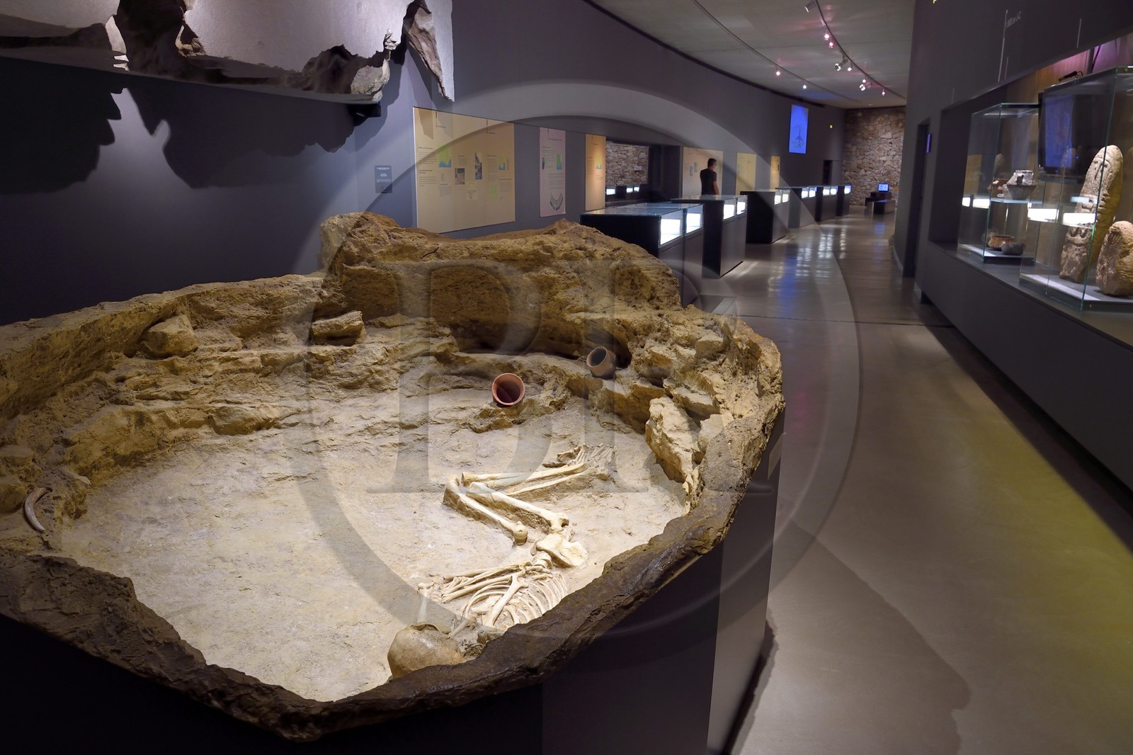 France, Alpes-de-Haute-Provence (04), Parc Naturel Régional du Verdon, Quinson, Musée de préhistoire des Gorges du Verdon conçu par l'architecte Norman Foster, sépulture de la Fare (Forcalquier) datant du Néolithique environ 2500 av. J-C