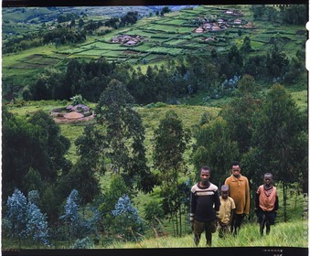Burundi, province de Bujumbura, région d'Ijenda, groupe d'enfants Tutsi, l'habitat est dispersé au hasard des collines ce qui confère aux paysages du Burundi un aspect très particulier, on distingue des plantations de thé autour des rugos (reproduction plan-film inversible 4x5)