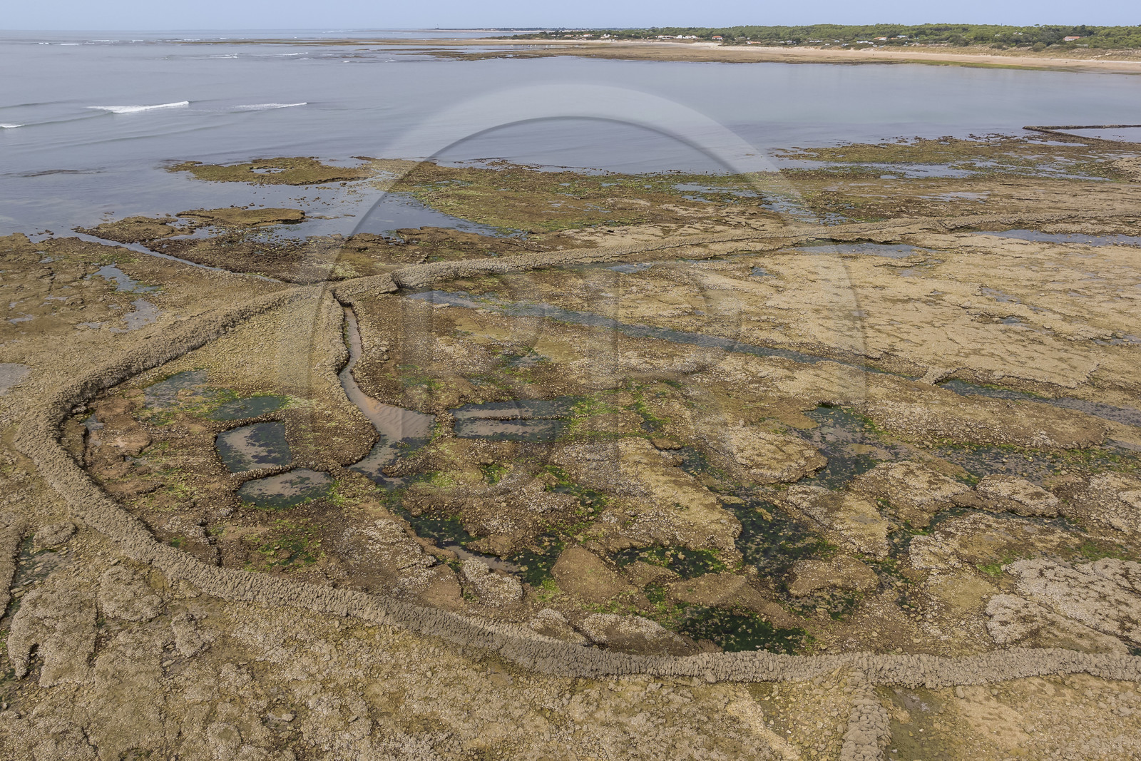 France, Charente Maritime, Oleron island, Saint Georges d'Oléron, Sables Vignier beach at low tide, the Basses fish lock (aerial view)