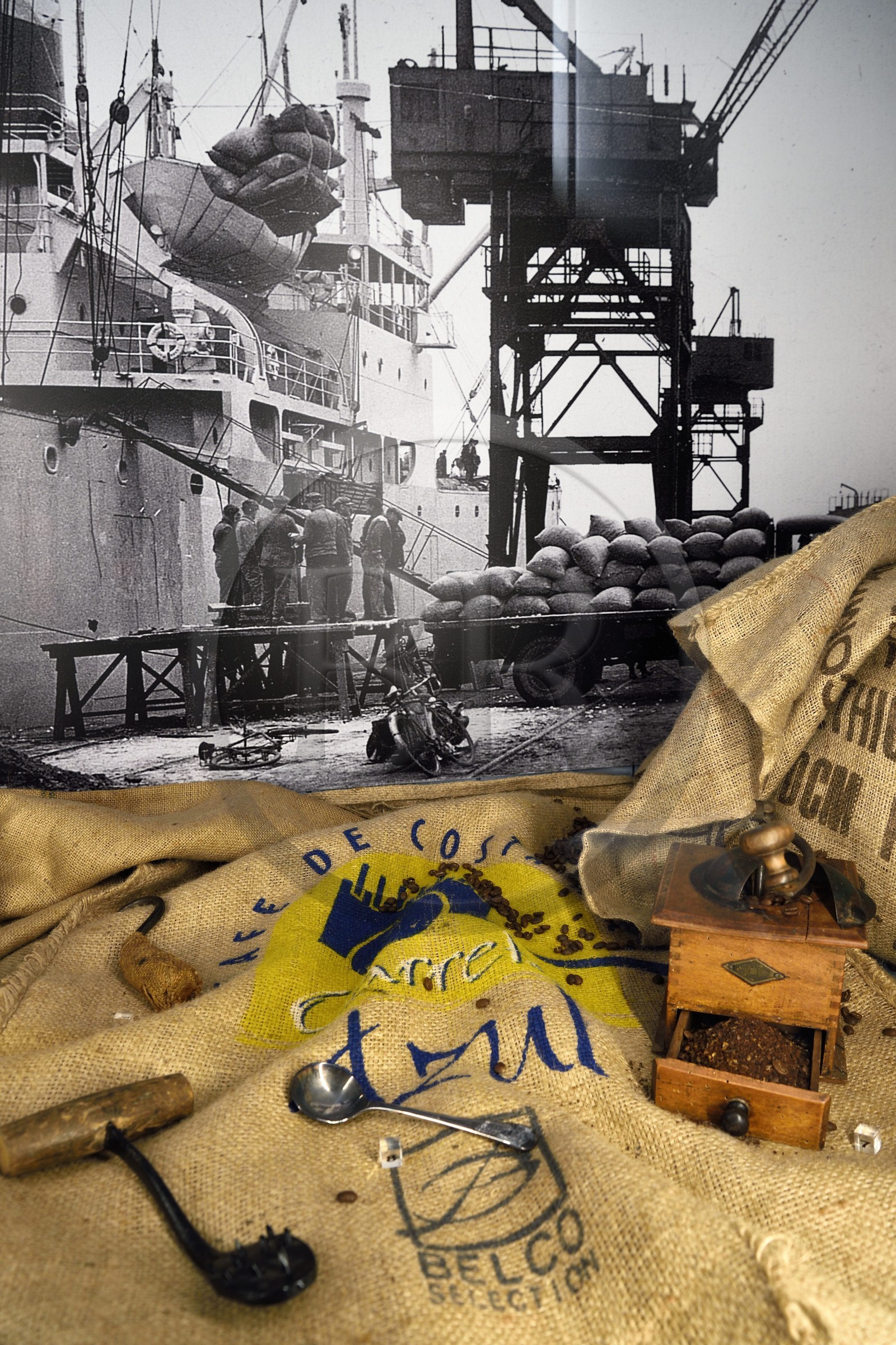 France, Seine-Maritime (76), Le Havre, quartier Saint-François dit quartier Breton, le musée de l'Hotel Dubocage de Bléville, commerce du Café au Havre