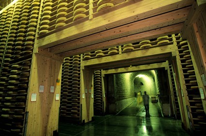 France, Doubs (25), Fort Saint Antoine, cave d'affinage du Comté de montagne