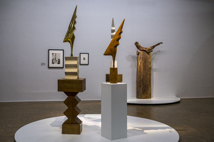France, Paris (75), quartier des Halles, le Centre Pompidou aussi apellé Beaubourg, Musée National d'Art Moderne (MNAM), exposition retrospective Brancusi, le bestiaire poétique de Constantin Brancusi