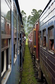 Sri Lanka, Province du Centre, trajet en train dans la région montagneuse de la culture du thé entre Hatton et Ella, gare de Watagoda, croisement de train