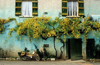 France, Saône-et-Loire (71), Cruzille, Domaine viticole des vignes du Maynes