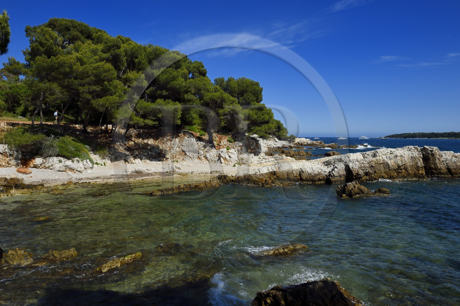 France, Alpes-Maritimes (06), Cannes, Iles de Lérins, Ile Sainte-Marguerite, pointe du Dragon