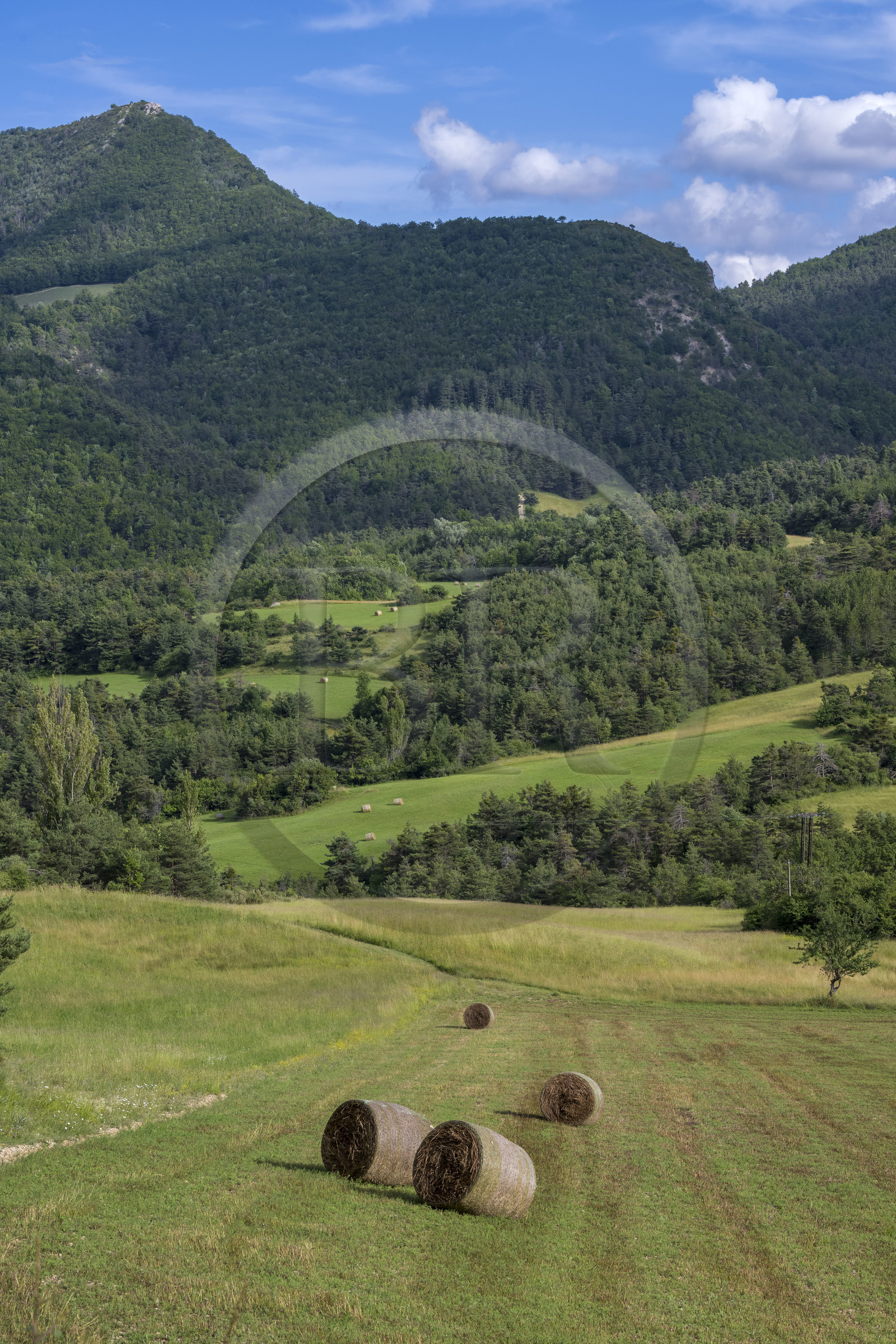 France, Drome, regional natural park of Baronnies provencales, Laborel, haystacks
