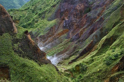 Caraïbes, Ile de la Dominique, Castle Bruce, Parc national du Morne Trois Pitons classé Patrimoine Mondial de l'UNESCO, la Vallée de la Désolation avec fumerolles et sources d'eau chaude, randonnée sur le sentier menant au Boiling Lake