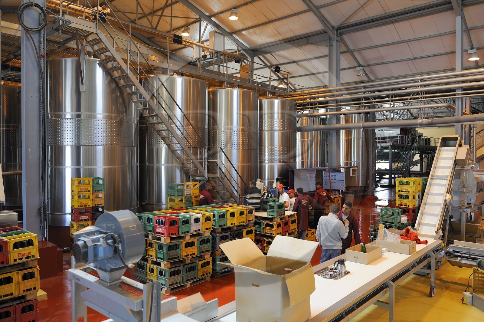 Morocco, Meknes Tafilalet Region, near Meknes, Boufakrane, Les Celliers de Meknes, vats