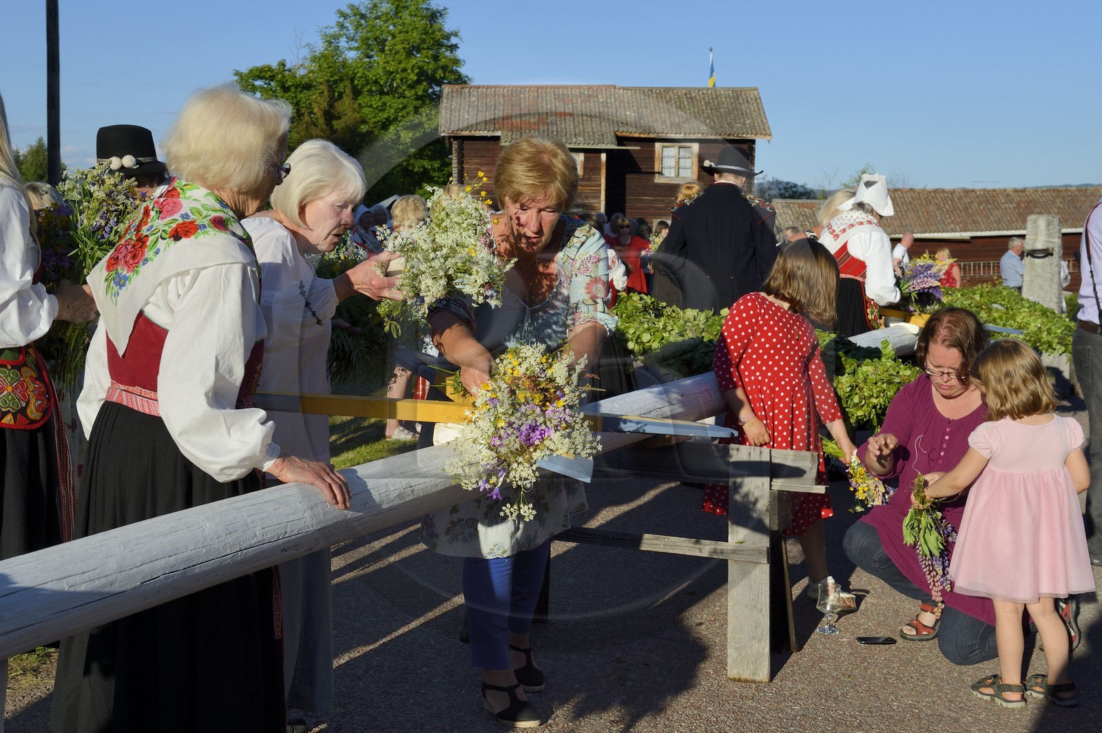 Sweden, Dalarna County, Leksand area, Midsummer celebrations in the tiny hamlet of Hjulbäck, preparation of the maypole