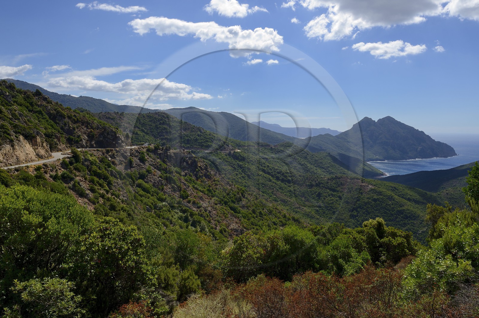 France, Corse-du-Sud (2A), Golfe de Girolata, classé Patrimoine Mondial de l'UNESCO, la route D81 qui va de Calvi à Porto et le Capo Senino depuis le Col de Palmarel
