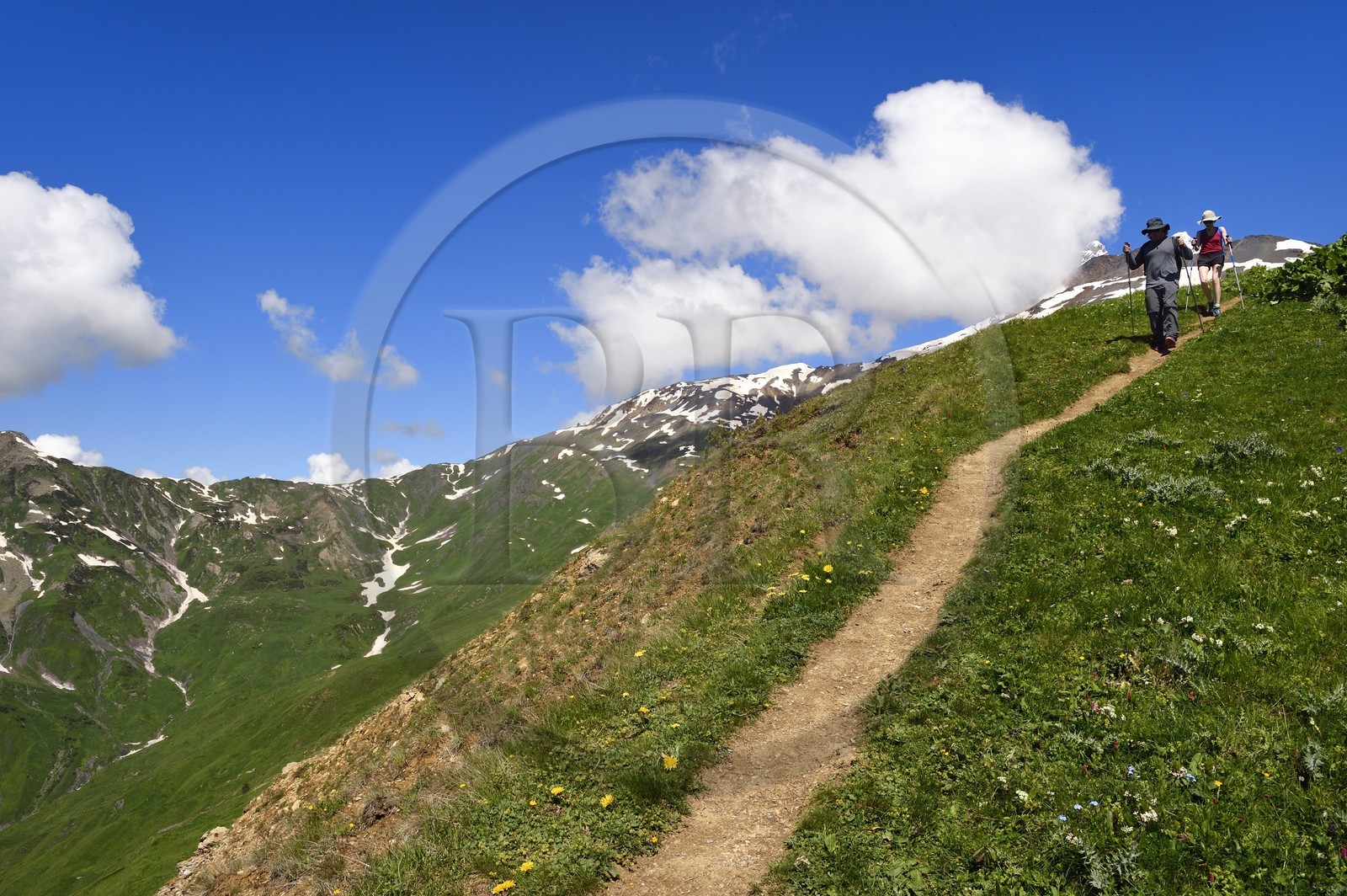 Georgia, Upper Svaneti (Zemo Svaneti), Mestia, hikers on the foothills of Mount Ushba coming from Guli pass
