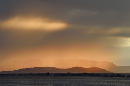 Namibie, région d'Hardap, désert du Namib, parc national du Namib-Naukluft, Erg du Namib classé Patrimoine Mondial de l'UNESCO, Sossusvlei à l'aube