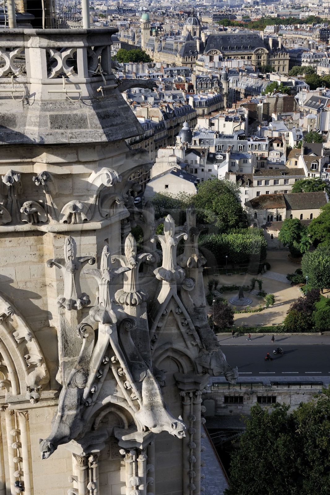 France, Paris (75), île de la Cité, la cathédrale Notre-Dame