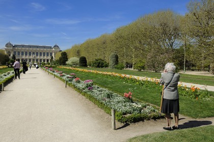 France, Paris (75), Muséum d'Histoire Naturelle, le Jardin des Plantes et la Grande Galerie de l’Évolution
