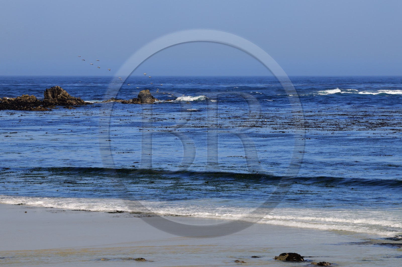 United States, California, 17 Mile Drive, Spanish Bay