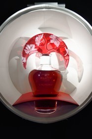 France, Charente (16), Cognac, Musée des Arts de Cognac, l'Automne des Cognac Hardy avec l'Atelier Lalique et Céline Dolet (2016)