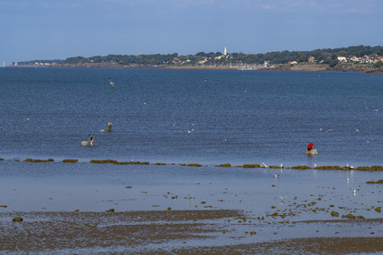 France, Loire-Atlantique (44), Baie de Bourgneuf, Pornic, plage de Crêve-coeur à La Bernerie-en-Retz, pecheurs à pied de crevettes à l'épuisette
