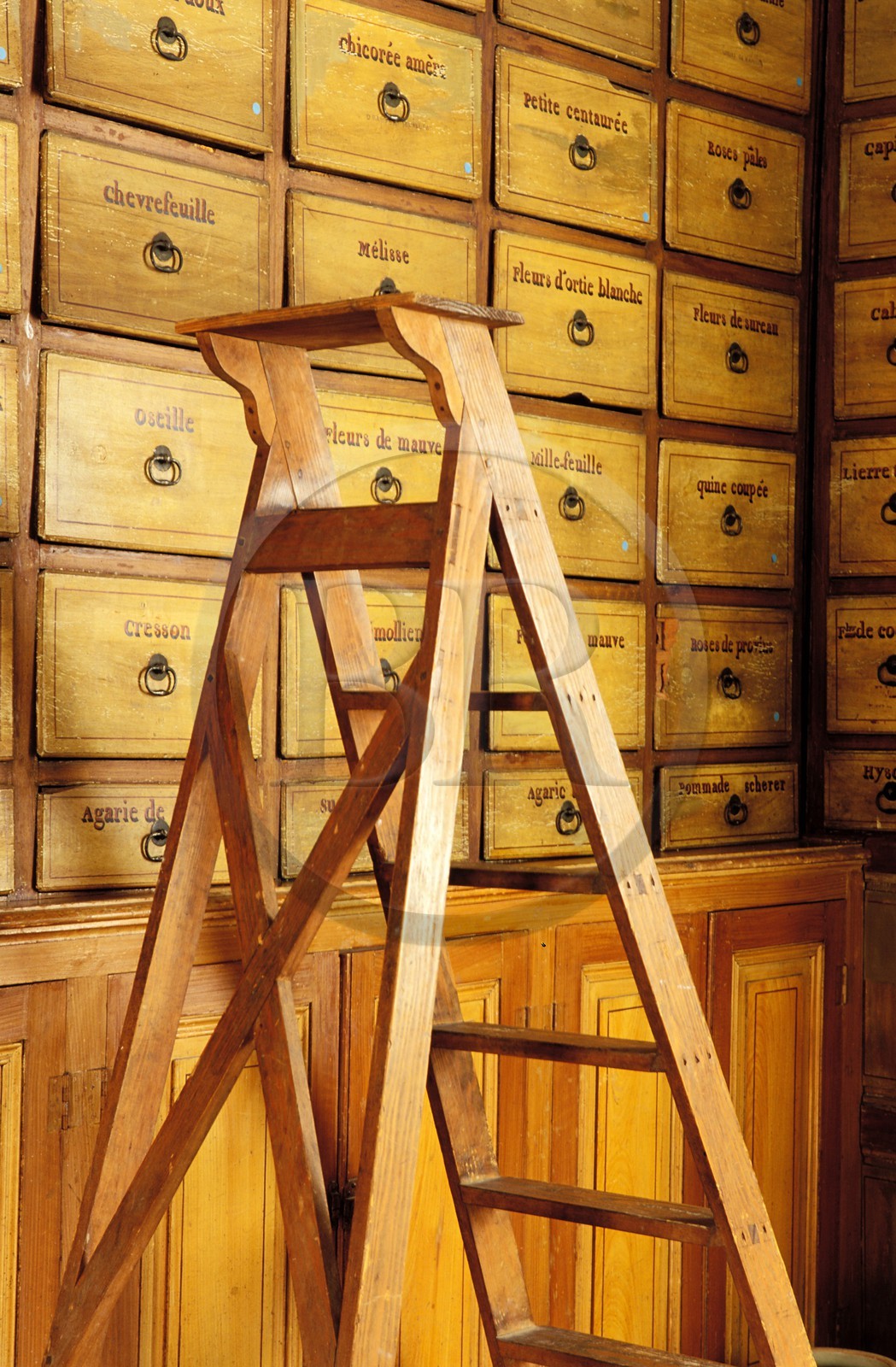 France, Saône-et-Loire (71), Châlon-sur-Saône, ancienne pharmacie de l'hôpital Saint-Laurent