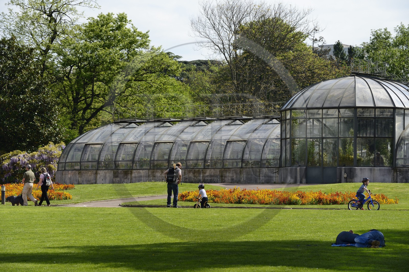 France, Rhône (69), Lyon,  le parc de la Tête d' Or, jardin botanique