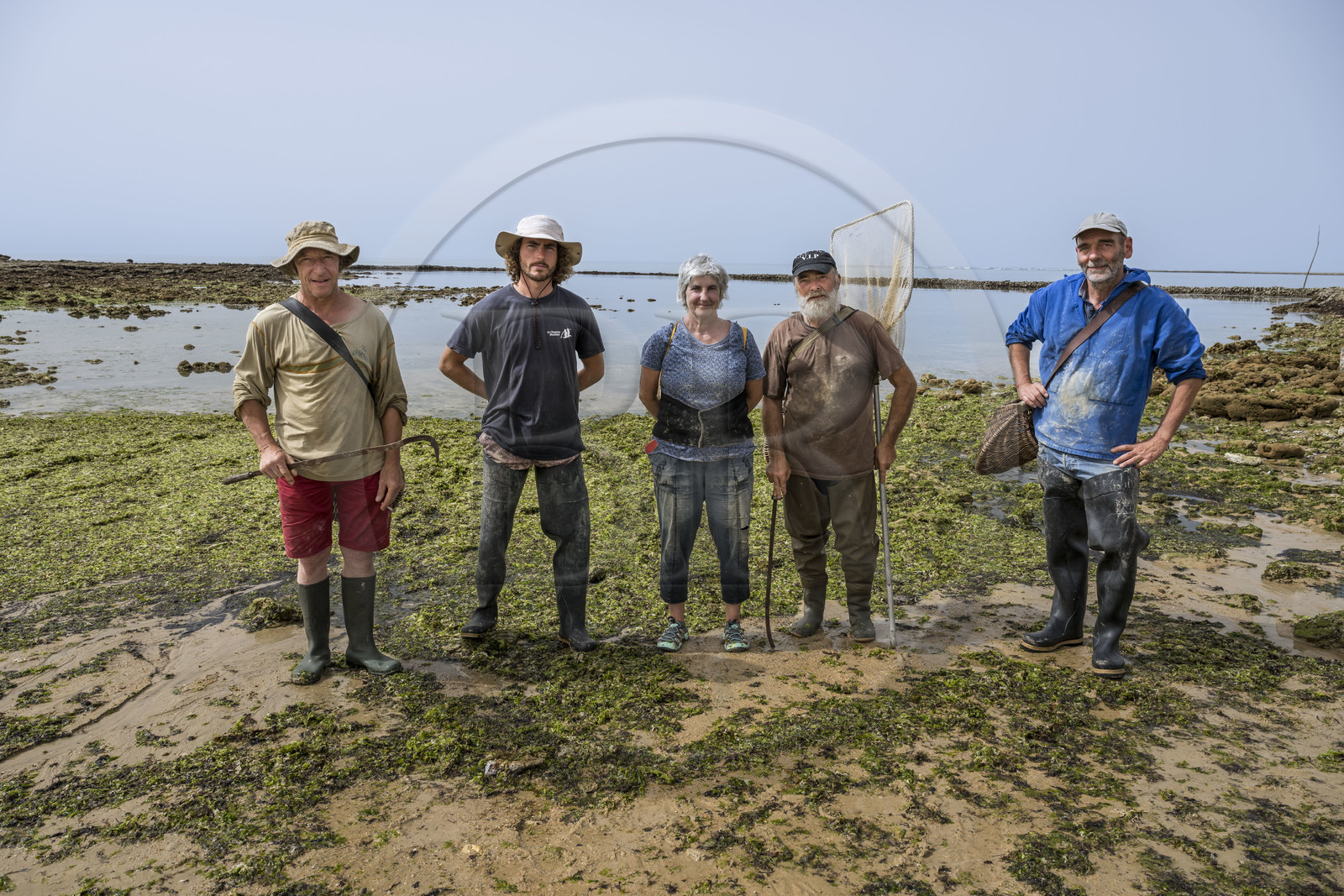 France, Charente-Maritime (17), Ile d'Oléron, Saint-Georges-d'Oléron, plage des Sables Vignier à marée basse, concessionnaires mareyants de l'écluse à poissons des Basses, Christian, Nathan, la cheffe Francine Fèvre, Jean Guy et Jean Baptiste, tous membres de la Concession Laure Brégaud