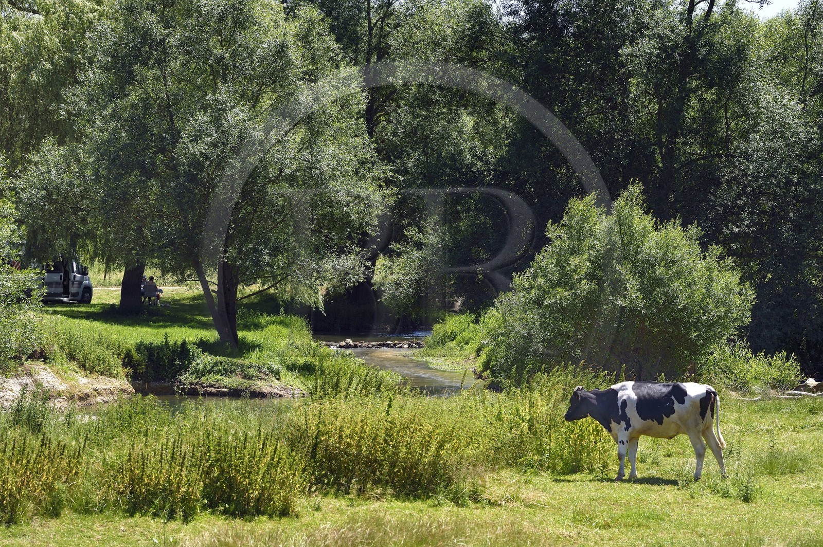 France, Meuse (55), Bannoncourt, pique-nique au bord d'un bras de la Meuse