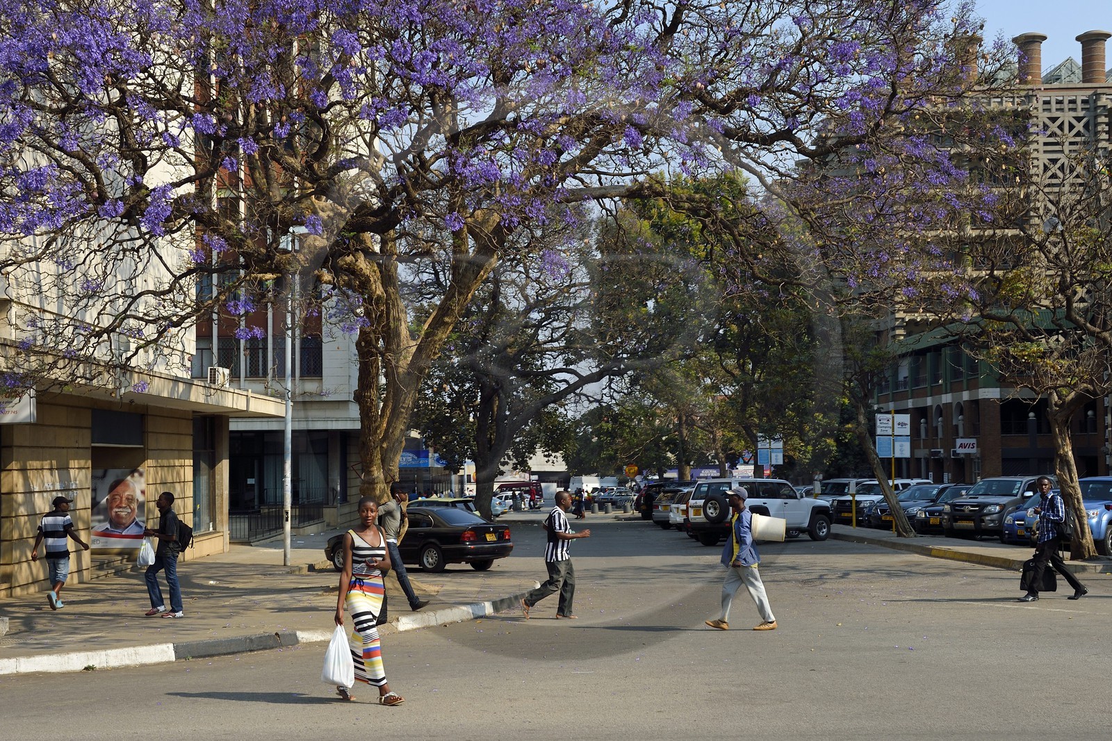 Zimbabwe, Harare, scène de rue au centre ville