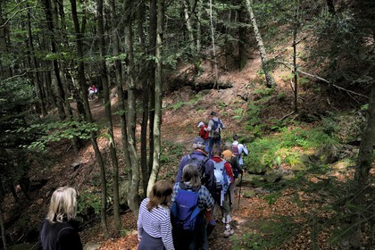 France, Vosges (88), chemin des passeurs au Donon sur la trace de la filière d'évasion du Rehtal