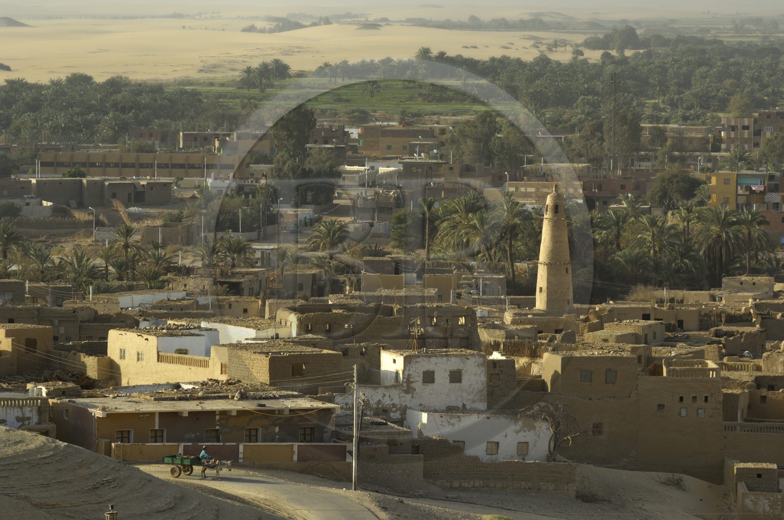 Egypte, Haute Egypte, désert libyque, oasis de Dakhla, vieux village de Al-Qasr, la mosquée de Nasr el-Din